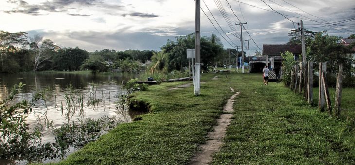 Annel: Revisão das metas do Mais Luz para a Amazônia é tema de Tomada de Subsídios