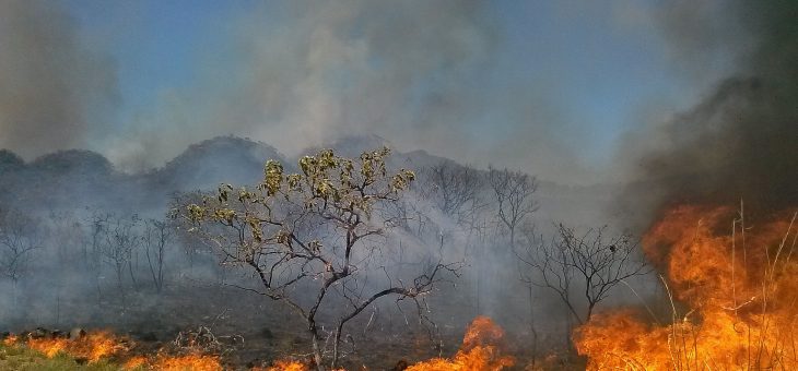 Setor elétrico enfrenta crise com seca e previsão de chuvas abaixo da média